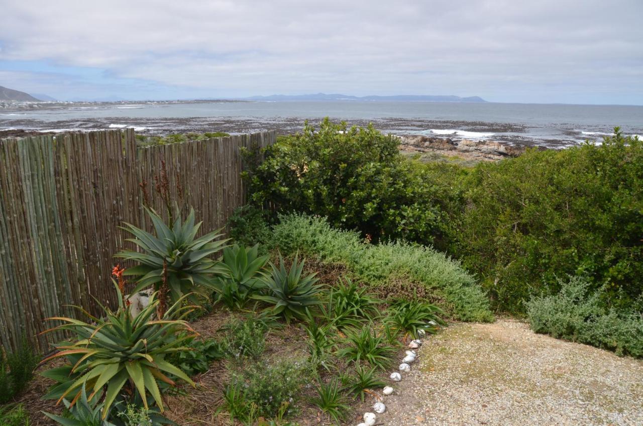 Beach Villa Apartment Hermanus Exterior photo